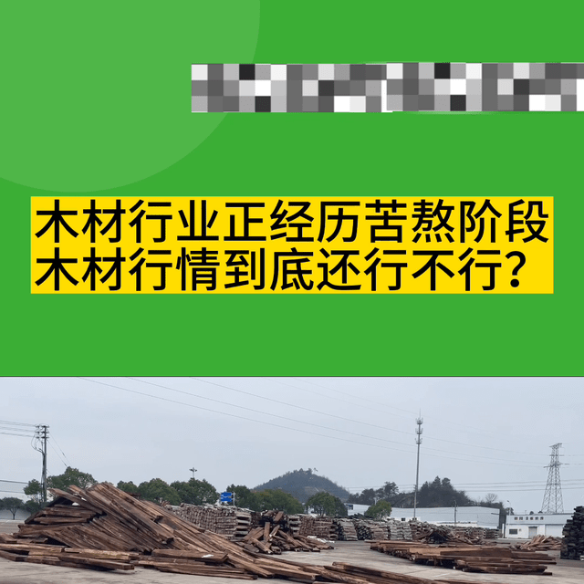 半岛官网入口：木材行业正经历苦熬阶段木材行情到底还行不行？人(图1)