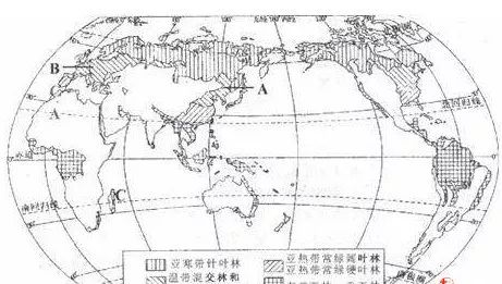 半岛官网下载：半岛官网入口：【木材最前沿】未来我国木材资源获取的途径或将以国内渠道为主(图2)