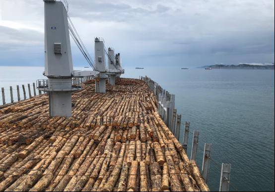 半岛官网下载：半岛官网入口：【行业】全球木材行业遭受运输冲击 中国木材市场压力与潜力并存(图1)