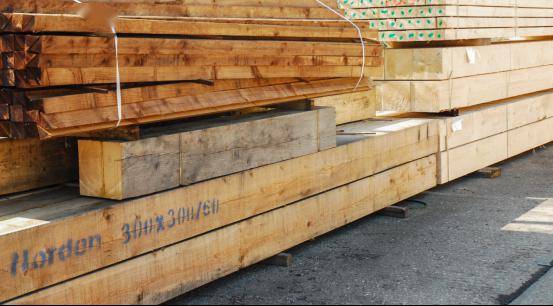 半岛官网下载：半岛官网入口：【行业】全球木材行业遭受运输冲击 中国木材市场压力与潜力并存(图2)
