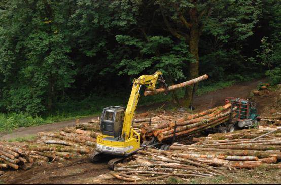 半岛官网下载：半岛官网入口：【行业】全球木材行业遭受运输冲击 中国木材市场压力与潜力并存(图4)